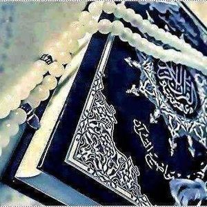 Meet your Posher, Wisal